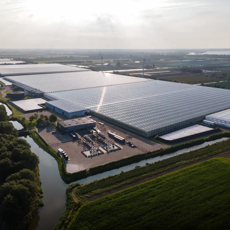 Drone view of the Andijk campus glasshouses